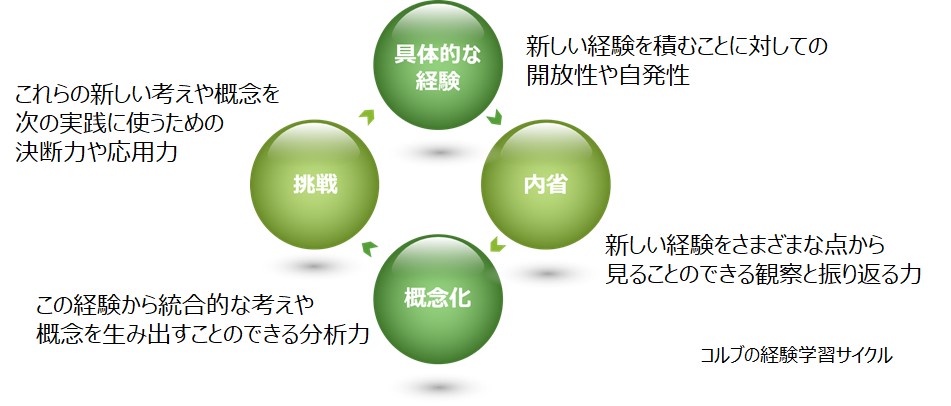 コルブの経験学習サイクル